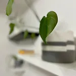 Greenchill House - West *