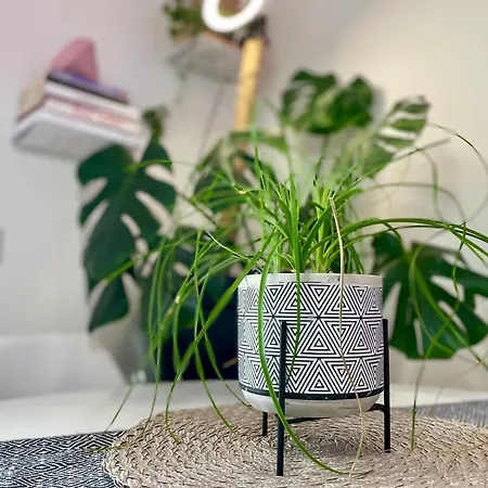 Greenchill House - West *