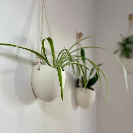 شقة Greenchill House - West *